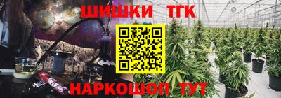 молекула духа Кингисепп