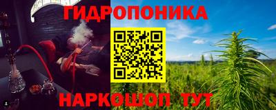 гидропоника Кинель