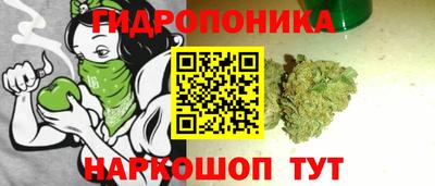 молекула духа Кингисепп