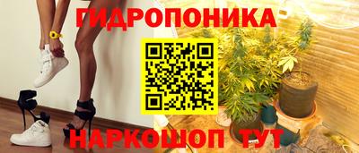 молекула духа Кингисепп