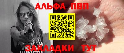молекула духа Кингисепп