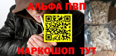 молекула духа Кингисепп