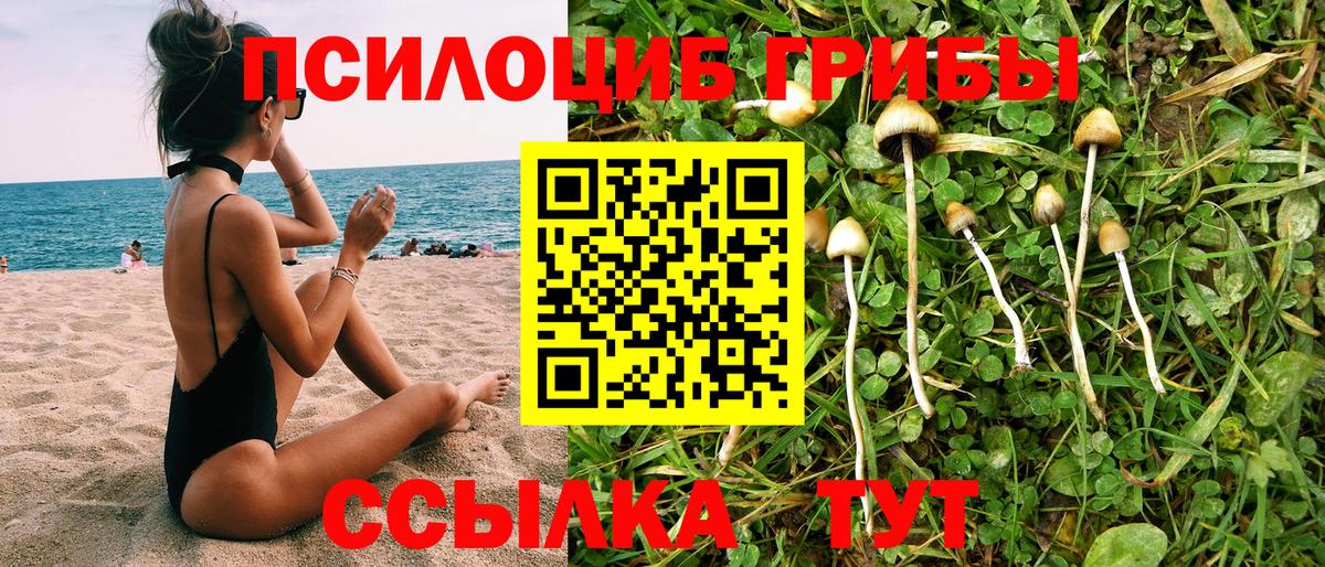 Буйнакск  Галлюциногенные грибы Magic Shrooms  Вход с VPN 