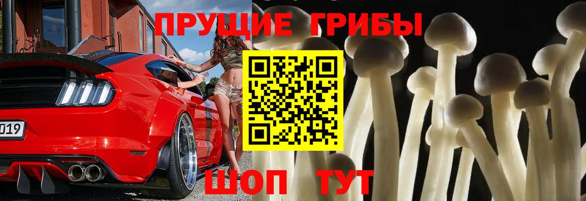 Псилоцибиновые грибы GOLDEN TEACHER Буйнакск